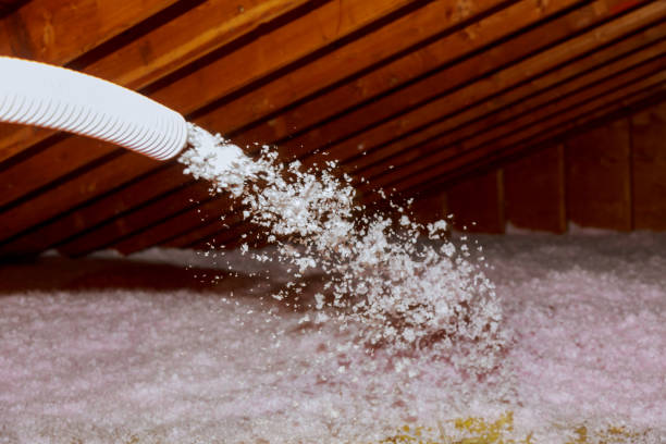 Best Blown-in Insulation in Lake Delta, NY