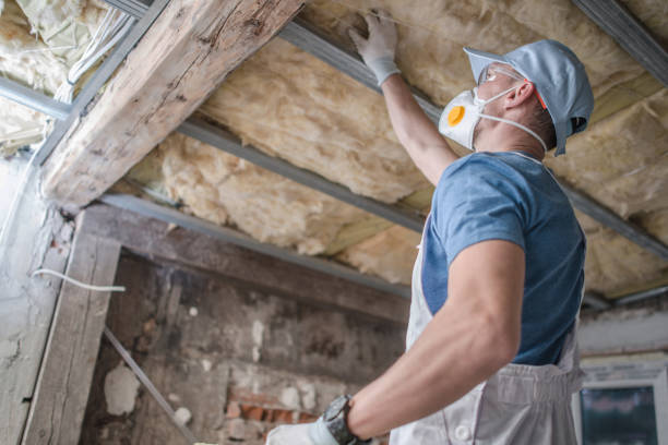 Best Insulation for Specific Applications in Lake Delta, NY