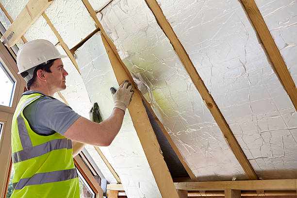 Best Residential Insulation in Lake Delta, NY